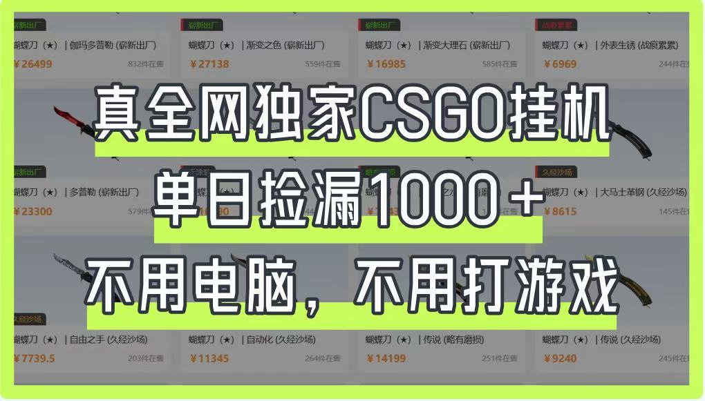 真全网独家CSGO挂机，单日捡漏1000+，不用电脑，不用养号-Zv头条