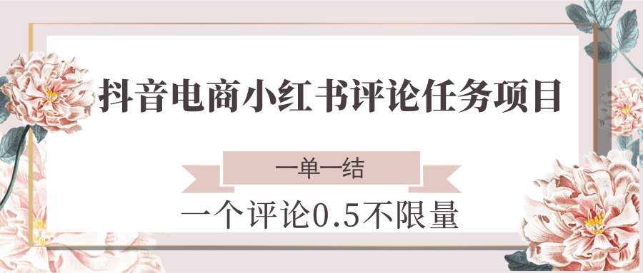 抖音电商小红书评论任务项目，一个评论0.5，一单一结 不限量-Zv头条