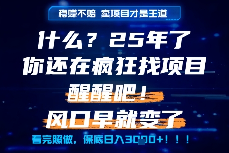什么？25年你还在疯狂找项目做，醒醒吧，看完这些你全都懂了！【揭秘】-Zv头条
