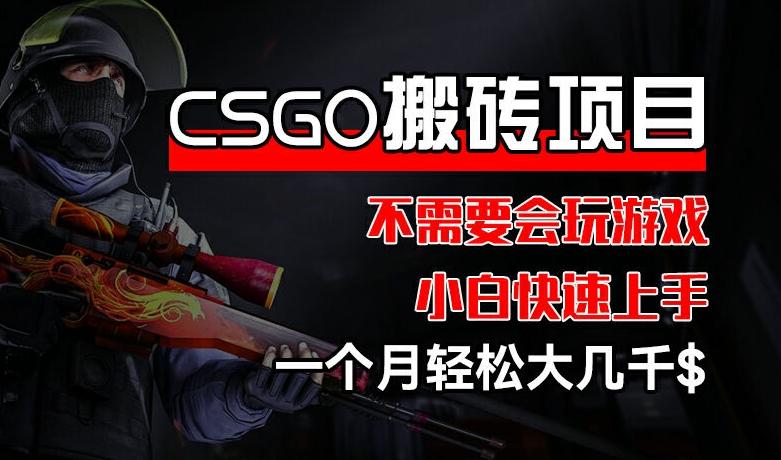 CSGO 装备搬砖项目，操作简单，不需要会玩游戏，小白也能快速上手，一个月轻松大几千【揭秘】-Zv头条