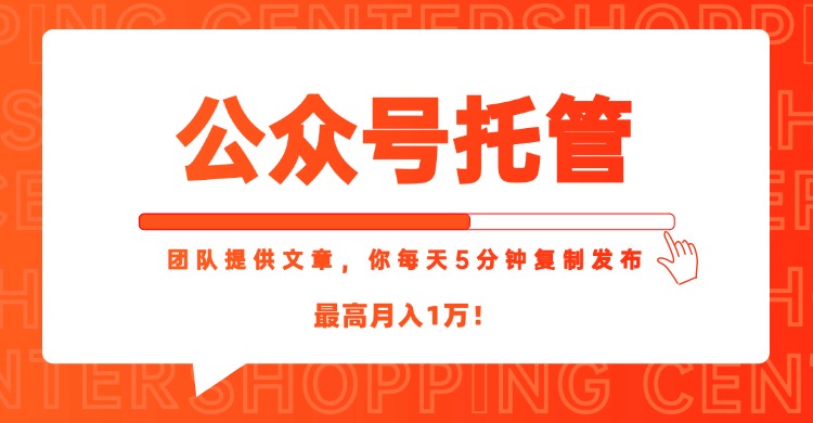 【公众号托管 】我提供文章，你每天５分钟复制发布，最高月入1W-Zv头条
