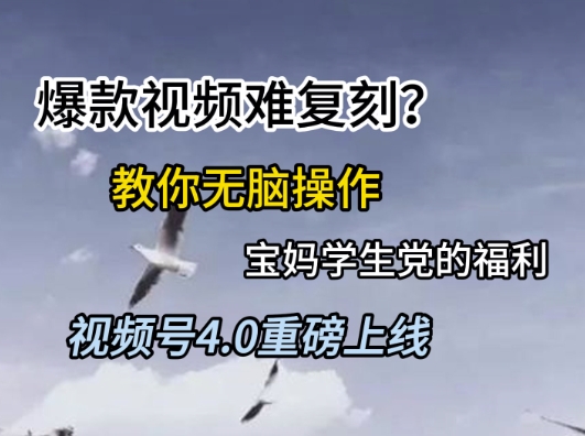 视频号4.0重磅上线,爆款视频难复刻?教你无脑操作宝妈学生党的福利【揭秘】-Zv头条