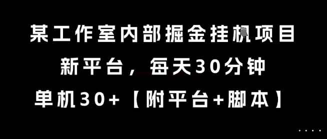 某工作室内部掘金挂G项目，新平台，每天30分钟，单机30+【揭秘】-Zv头条