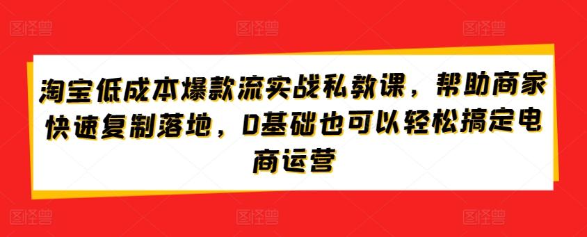 淘宝低成本爆款流实战私教课，帮助商家快速复制落地，0基础也可以轻松搞定电商运营-Zv头条
