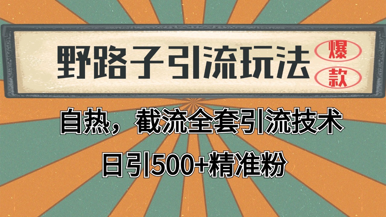 2024首发野路子引流玩法截流自热全平台打法，全自动引流【日引2000+精准客户】-Zv头条