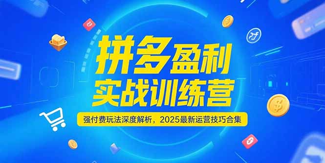 拼多多盈利实战训练营，强付费玩法深度解析，2025运营技巧合集-更新6月-Zv头条