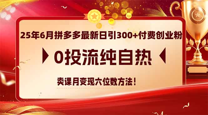 25年6月拼多多最新日引300+付费创业粉，0投流纯自热 卖课月变现六位数方法-Zv头条