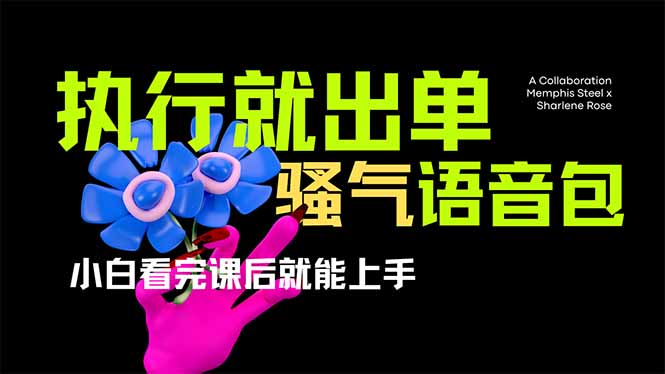 爆火全网的开车导航骚气语音包,只要执行就出单，小白看完课程就能实操...-Zv头条