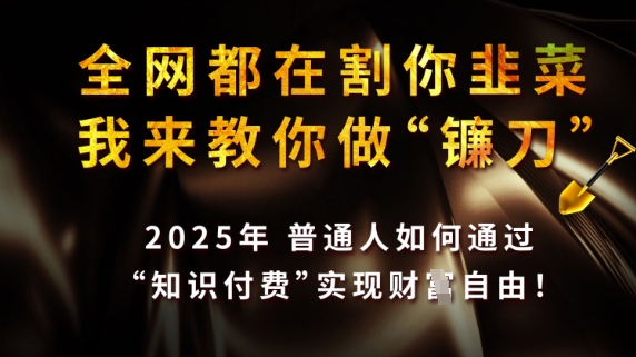 全网都在割你韭菜，我来教你做镰刀，2025普通人如何通过知识付费，实现财F自由【揭秘】-Zv头条
